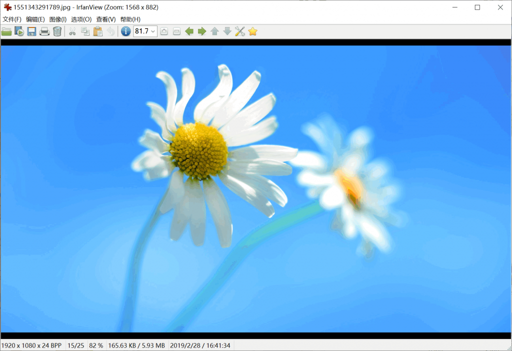最好的看图软件 irfanview64 Version 4.60 最好的看图软件 irfanview64 Version 4.60