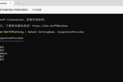 提高网速，win11 开启bbr2