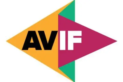 IrfanView打开avif图片的方法